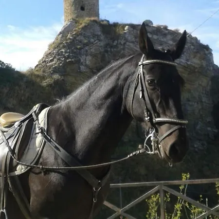 Corleone Bed And Breakfast *